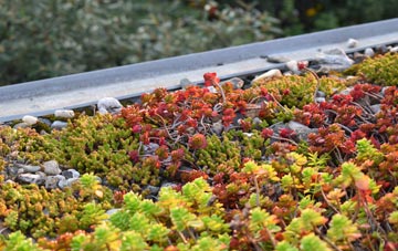 the cost of Gossops Green green roof installation