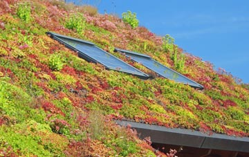 Gossops Green living roof systems