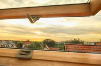 rated Gossops Green roof window companies